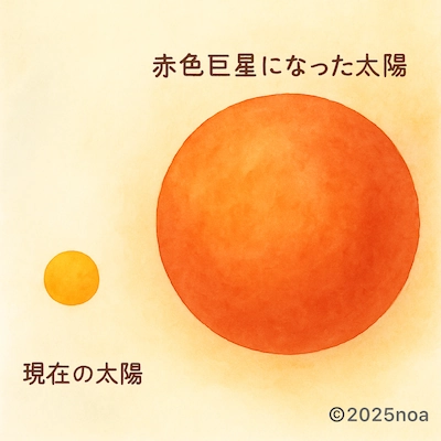現在の太陽と赤色巨星になった未来の太陽を並べて比較したイラスト。左下に小さくオレンジ色の円で現在の太陽、右に大きな赤い円で赤色巨星の太陽が描かれている。文字で『現在の太陽』と『赤色巨星になった太陽』と書かれている。