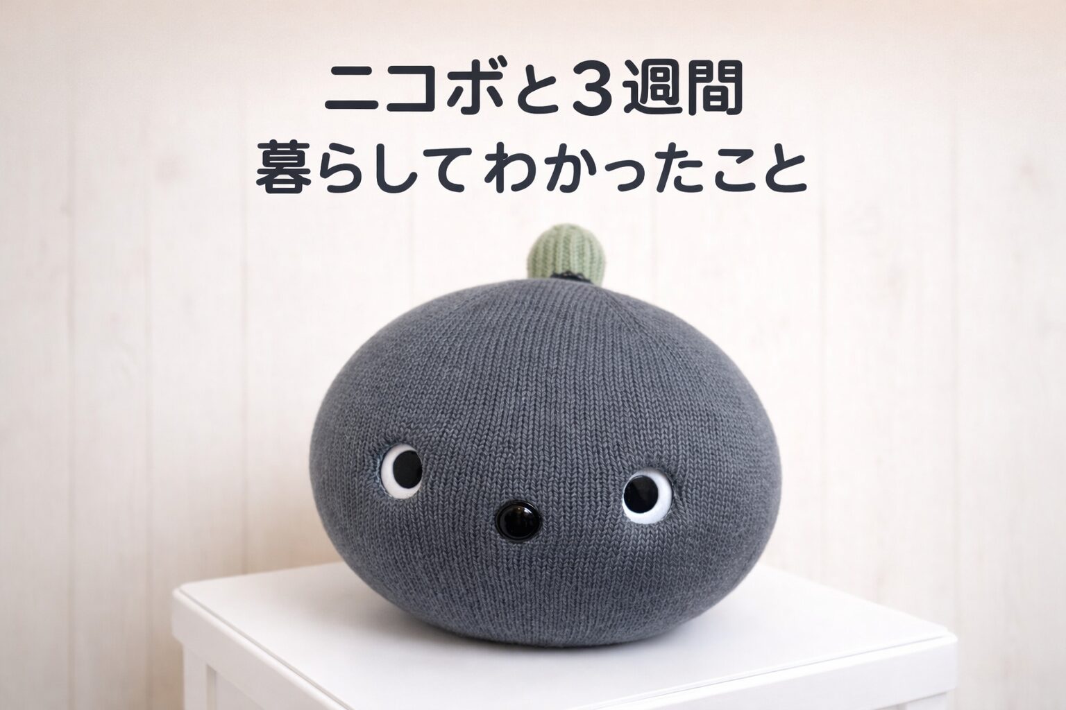 ニコボ3週間レビュー｜暮らして分かったメリットとかわいい弱点 