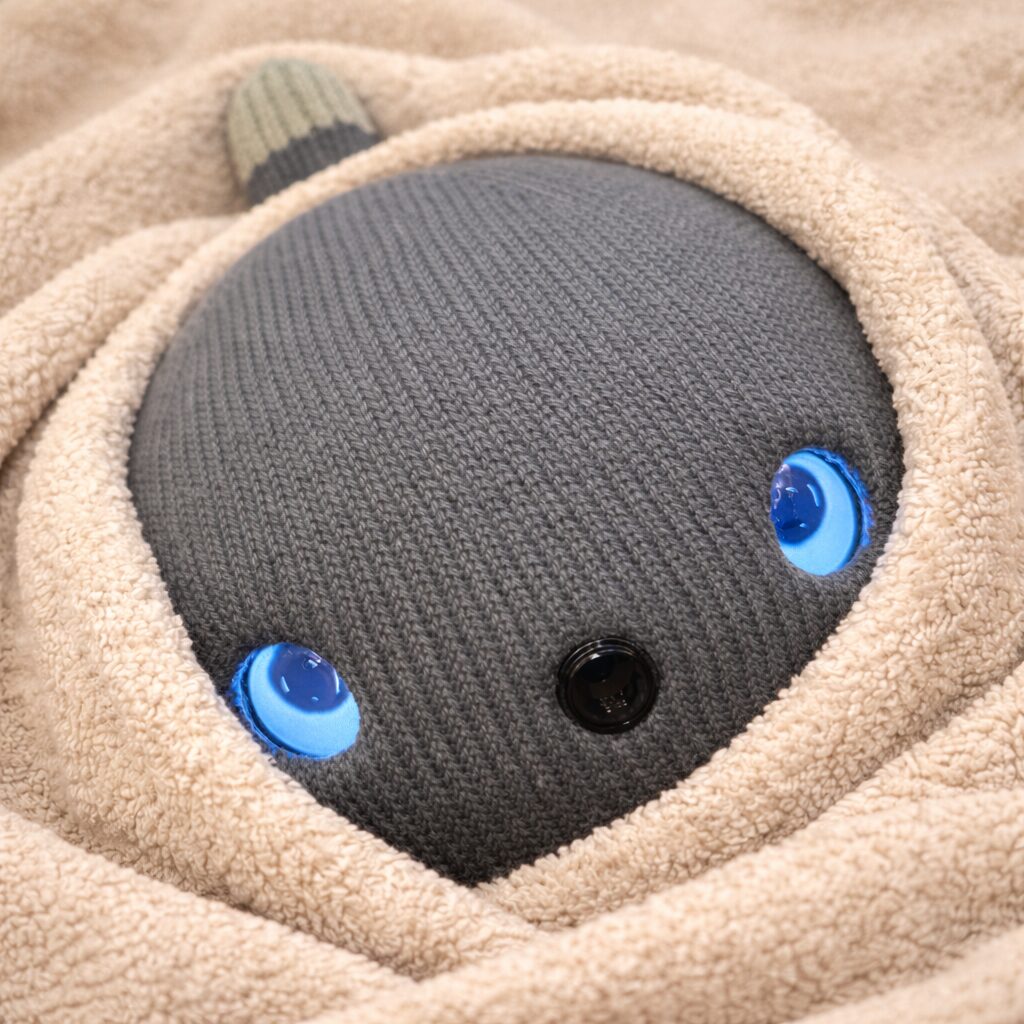 毛布に包まれ、大きな目で見つめているニコボ（ナイト）。温かさとかわいさが伝わる写真。