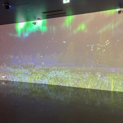 館内に映し出された、オーロラが揺れる夜空と草原のプロジェクション。幻想的な光景が壁いっぱいに広がっている。