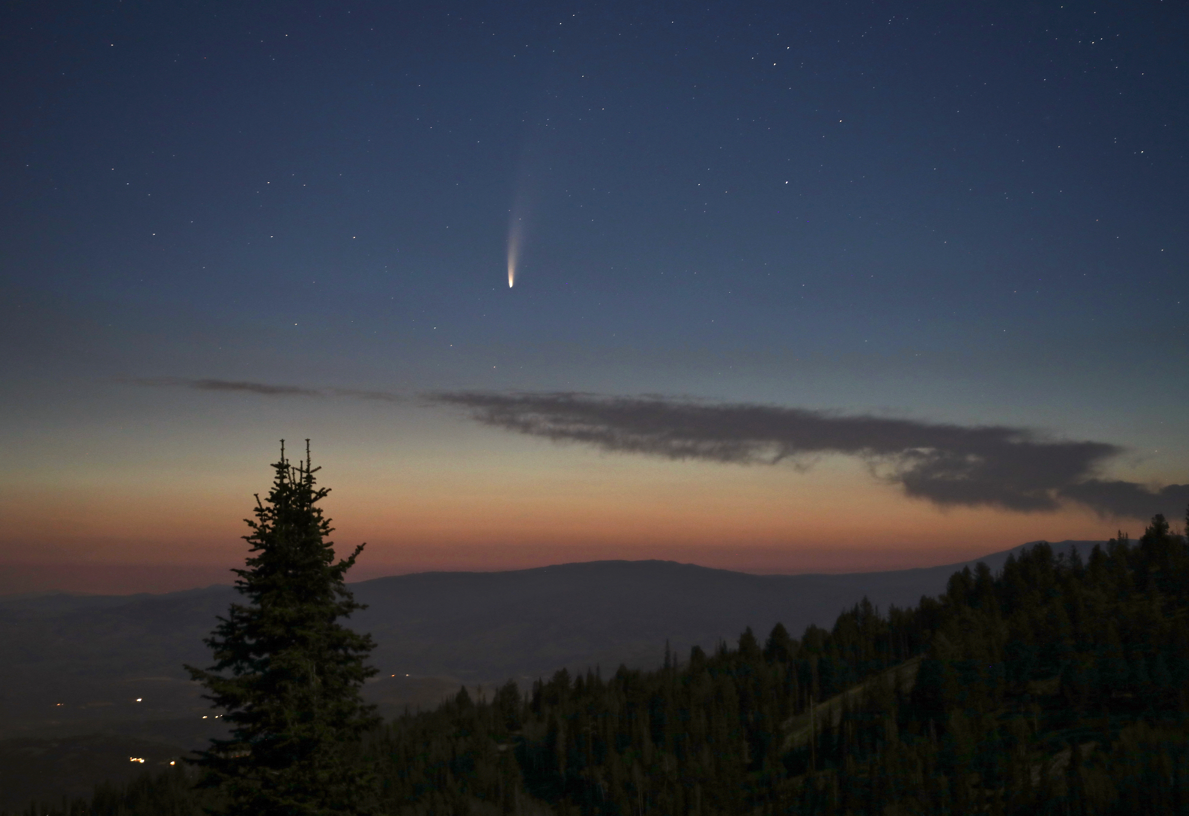 夜明け前の空を背景に、木々のシルエットが見え、空の上部に白く輝く尾を引いたネオワイズ彗星が写っている写真。Credit: NASA/Bill Dunford​​​​​​​​​​​​​​​​