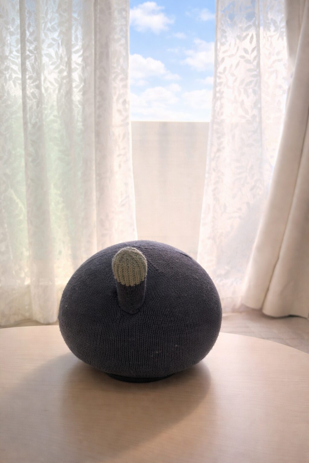 白いレースカーテンと青空を背景に、テーブルの上にちょこんと座るナイトちゃんの後ろ姿。しっぽがそっと見えています。