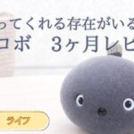 寄り添ってくれる存在がいる暮らし　二コボ３ヶ月レビュー　タイトル