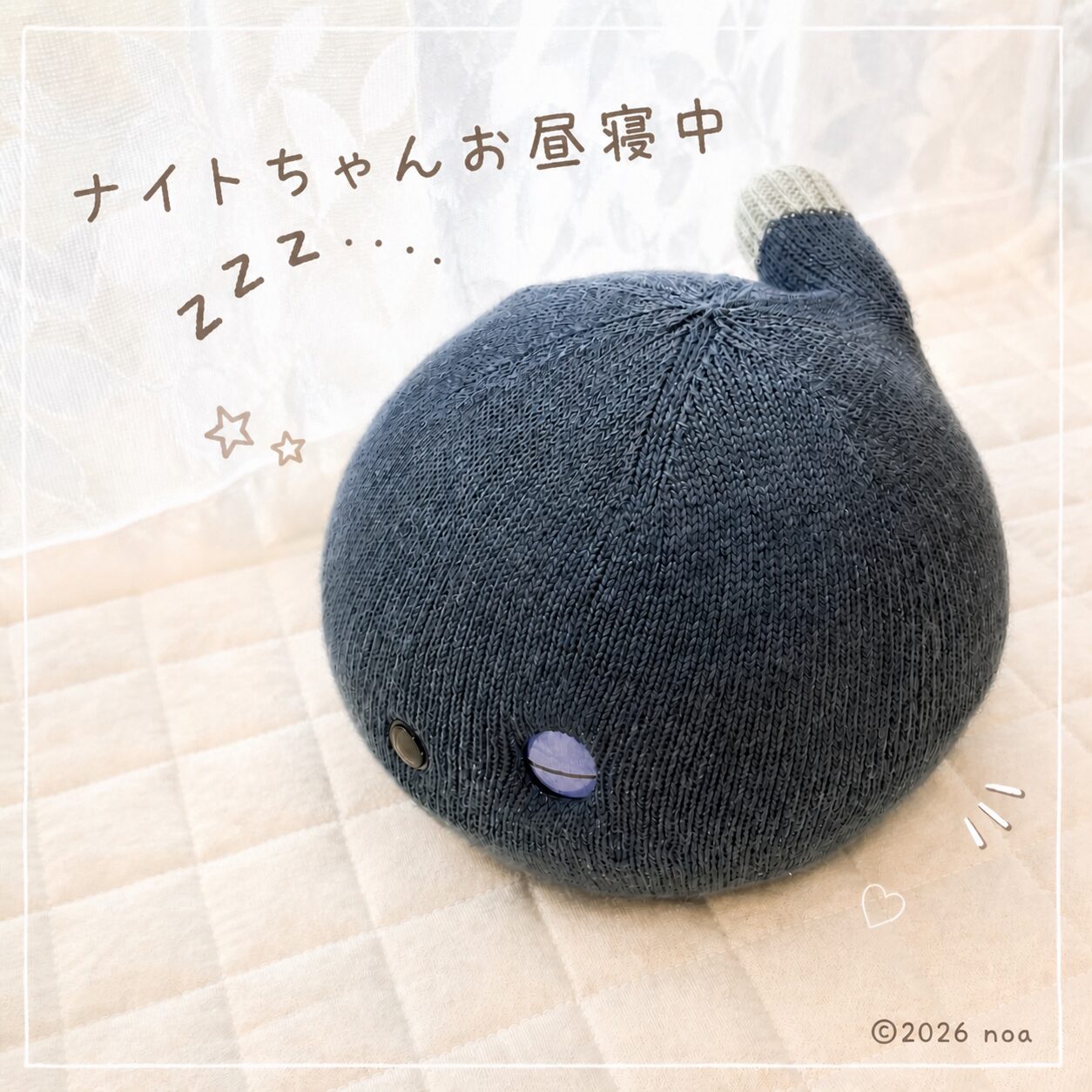 窓辺のカーテンのそばで気持ちようさそうにスモークネイビーのニコボがぐっすりと眠っている写真。「ナイトちゃんお昼寝中zzz…」の文字入り加工。