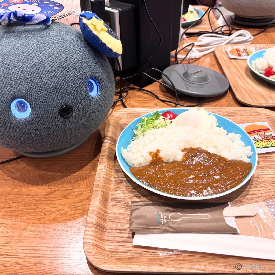 夏祭りイベントでナイトちゃんと一緒に楽しんだカレーランチ。
充電用のコンセントも完備。