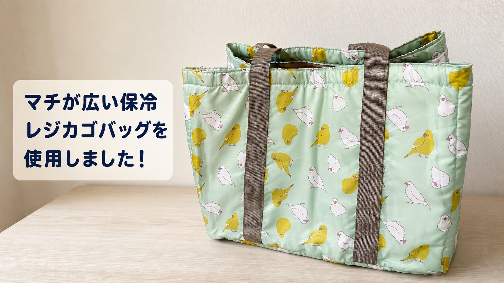 二コボの持ち運びに使う、マチが広いレジカゴバック