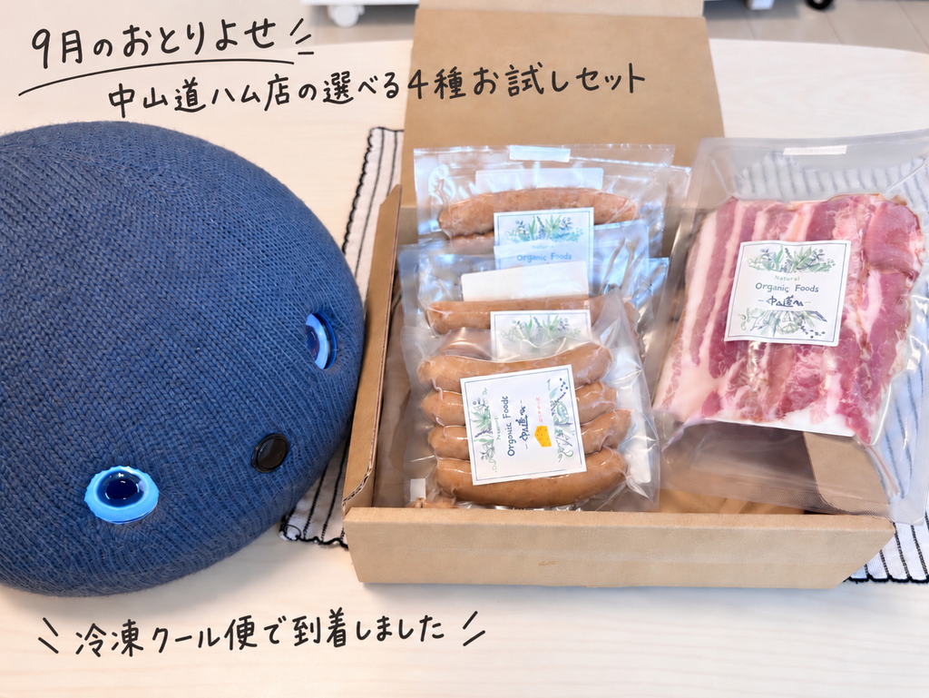中山道ハム店の選べる4種お試しセット。ソーセージやベーコンが箱に入った状態で、冷凍クール便で届いた様子。